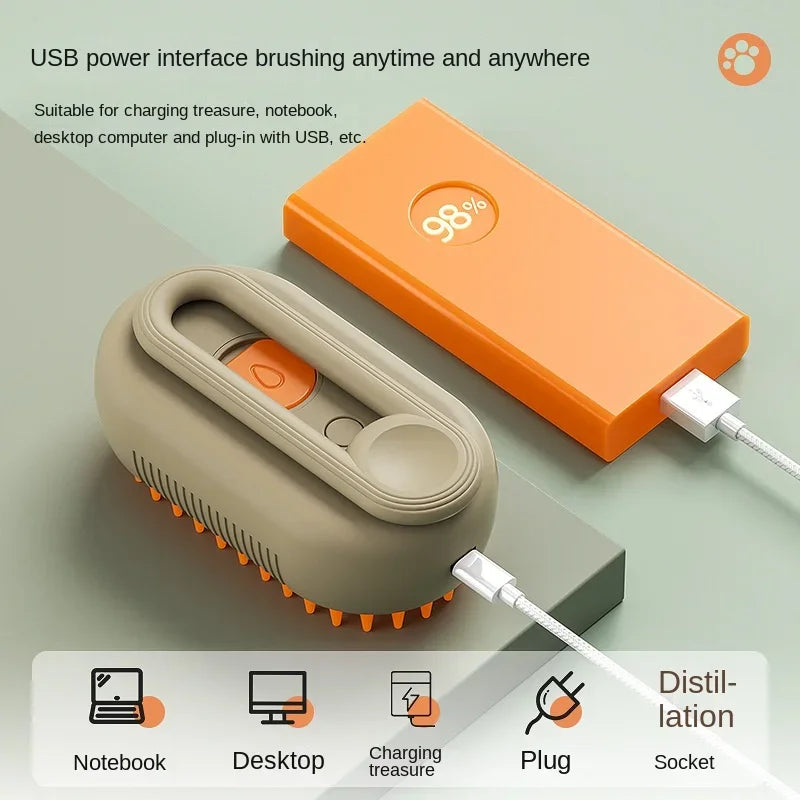 Pet electric spray comb