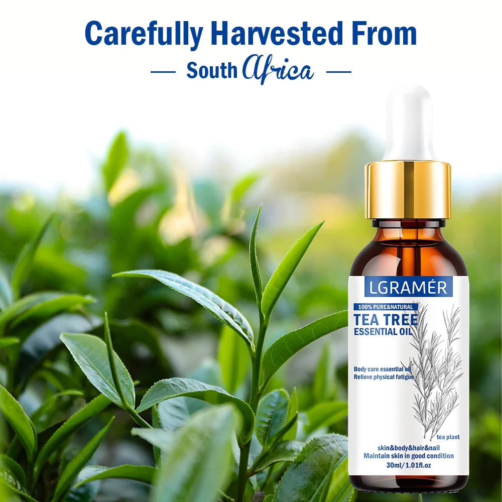30ML Tea Tree Essential Oil