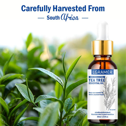 30ML Tea Tree Essential Oil